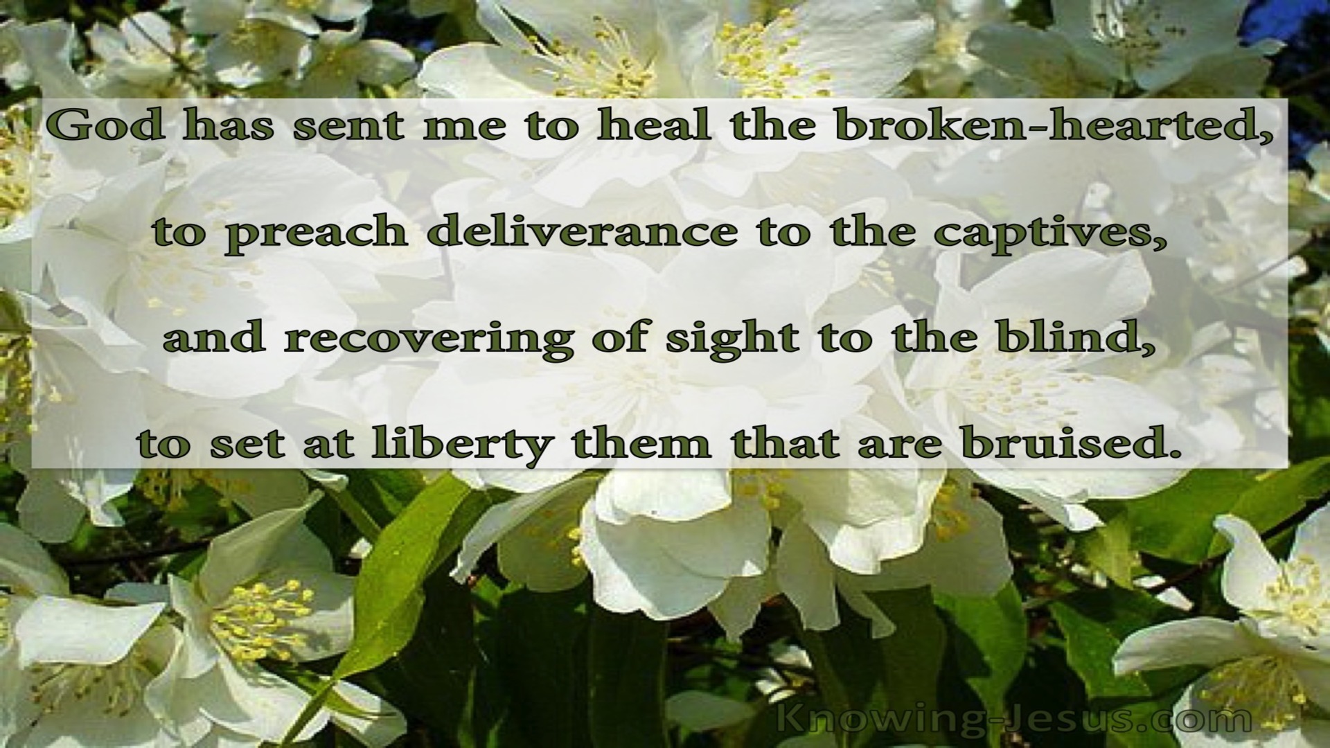 Luke 4:18 Beauty For Brokenness (devotional)01:11 (green)